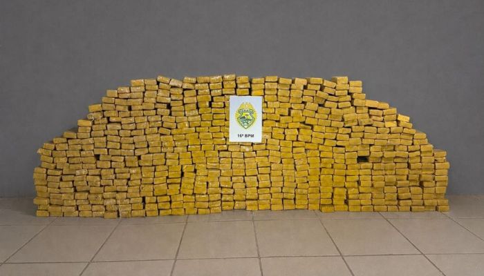 Pinhão - Forças de segurança apreendem grande quantidade de maconha e prendem três suspeitos